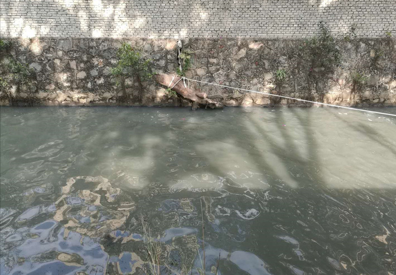 順德灝景灣河涌水質應急處理治理