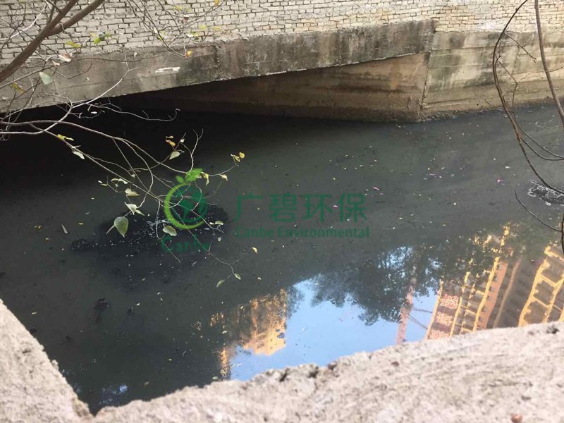 順德灝景灣河涌水質應急處理治理(圖1)